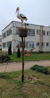 Украшаем территорию ДОУ Украшаем территорию ДОУ.